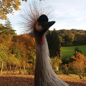  Séjour chez l'habitant Angelina Et Ses Animaux France